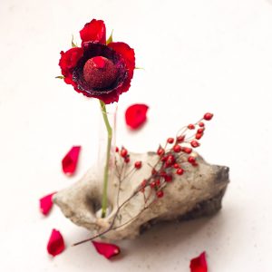 Körbchen aus kandierten Radicchio gefüllt mit Radicchio-Püree und einem Bällchen aus Schafslabneh ummantelt mit Hibiskus-Salz