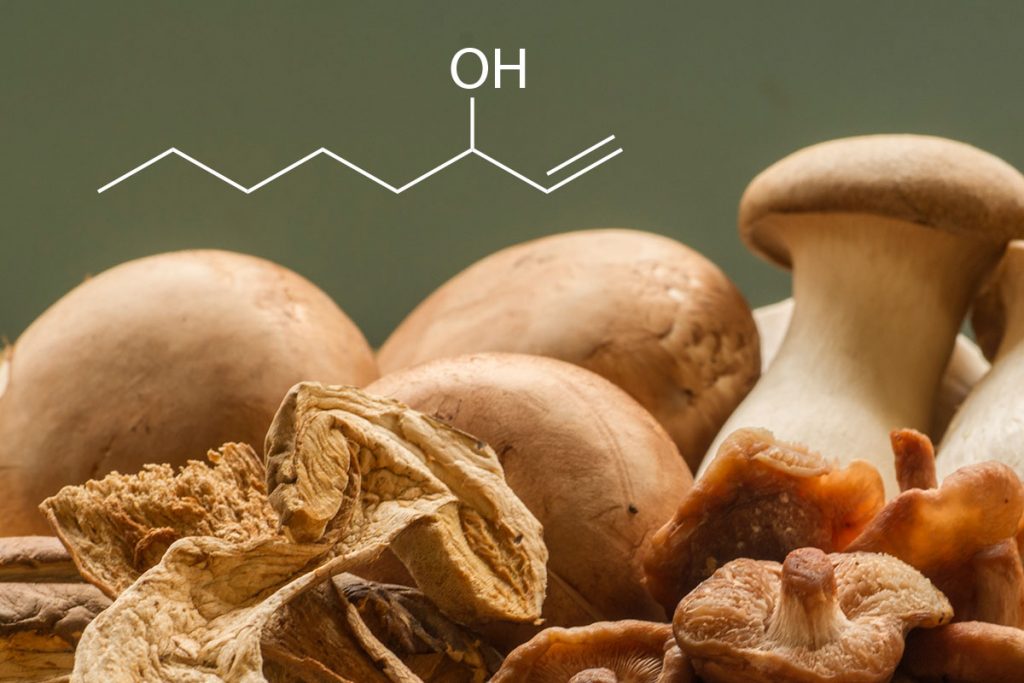 Gemischte Pilze als Basis für eine Pilzbrühe mit der Strukturformel von 1-Octen-3-ol