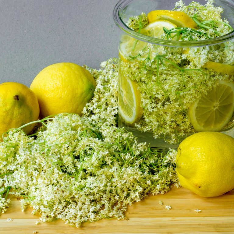 Gefäß mit Holunderblütensirup, umgeben von Zitronen und Holunderblütendolden