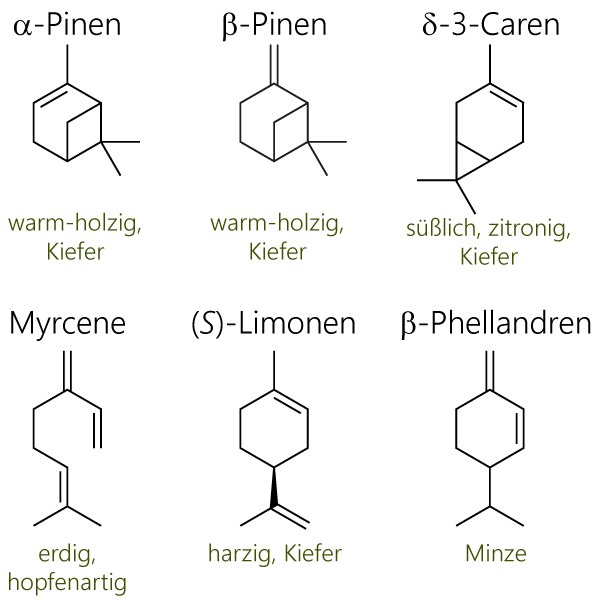 Strukturformeln von alpha-Pinen, beta-Pinen, delta-3-Caren, Myrcen, Limonen und beta-Phellandrene, den Hauptduftstoffen von Kiefernzapgen (Pinus sylvestris)