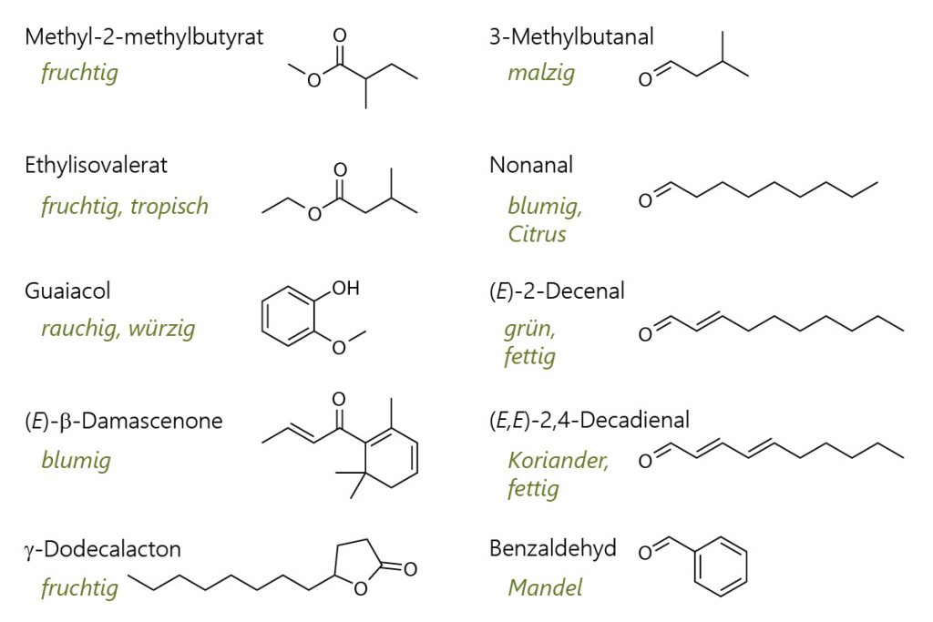 Strukturformeln von Methyl-2-methybutanoate, Ethylisovalerat, Guaiaco, beta-Damscenon, gamma-Dodecalacton, 3-Methybutanal, Nonanal, (E)-2-Decenal, (E,E)-2,4-Decadienal und Benzaldehyd – Schlüsselkomponenten im Aroma von Schwarzen Oliven