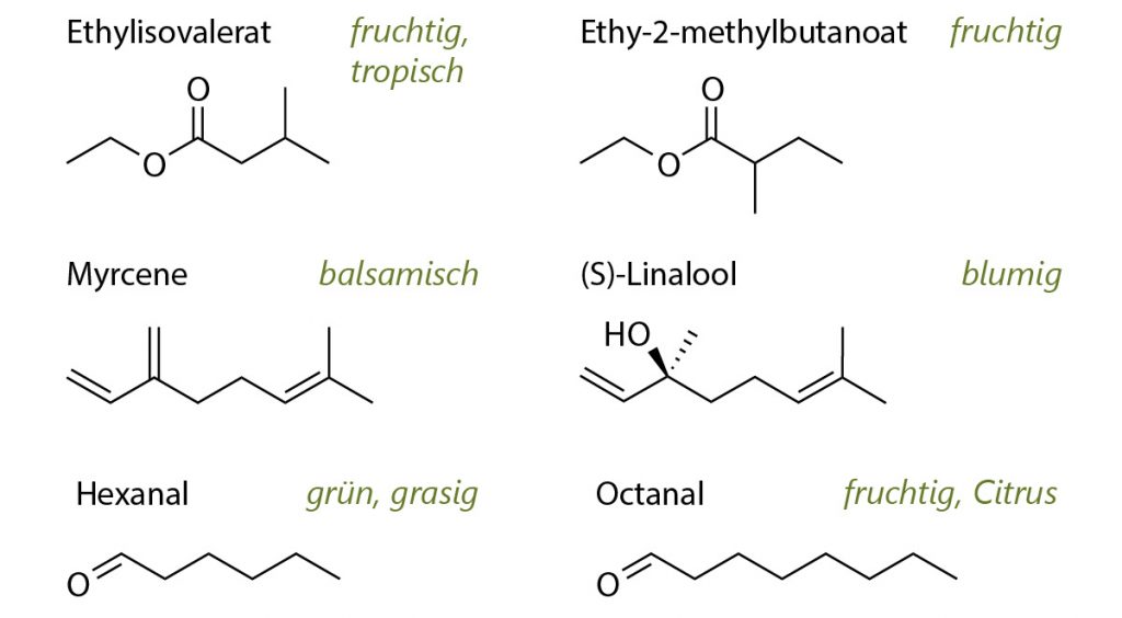 Strukturformeln von einigen Schlüsselkomponenten des Orangenduftes - Ethyisovalerat, Ethy-2-methylbutanoate, Myrcen, (S)-Linalool, Hexanal und Octanal