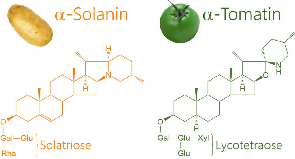 Strukturformeln von Solanin und Tomatidin