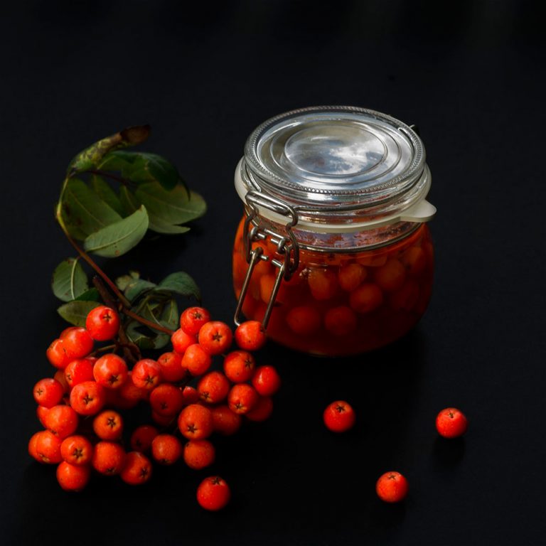 Einmachglas mit eingelegten Vogelbeeren (Sorbus aucuparia)
