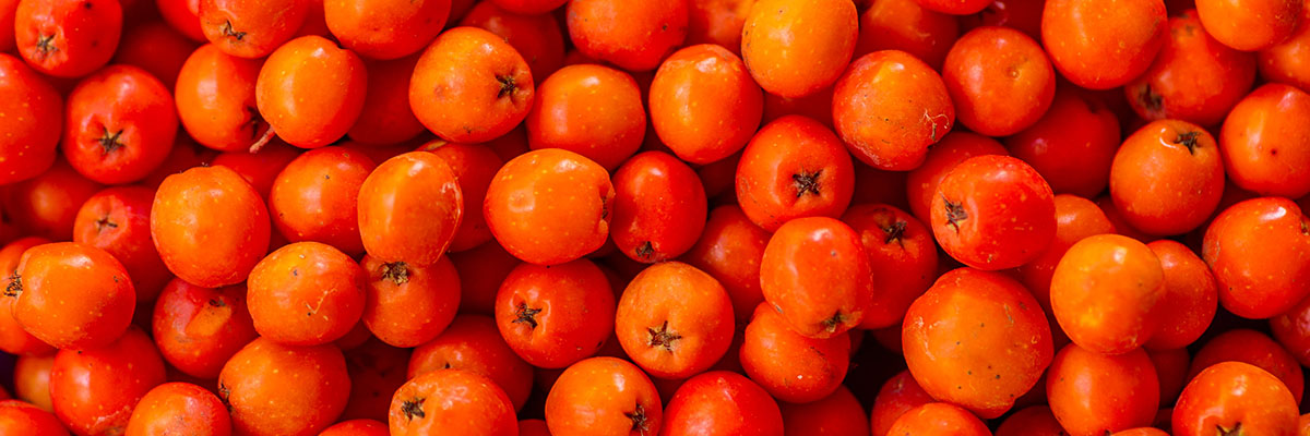 Vogelbeeren