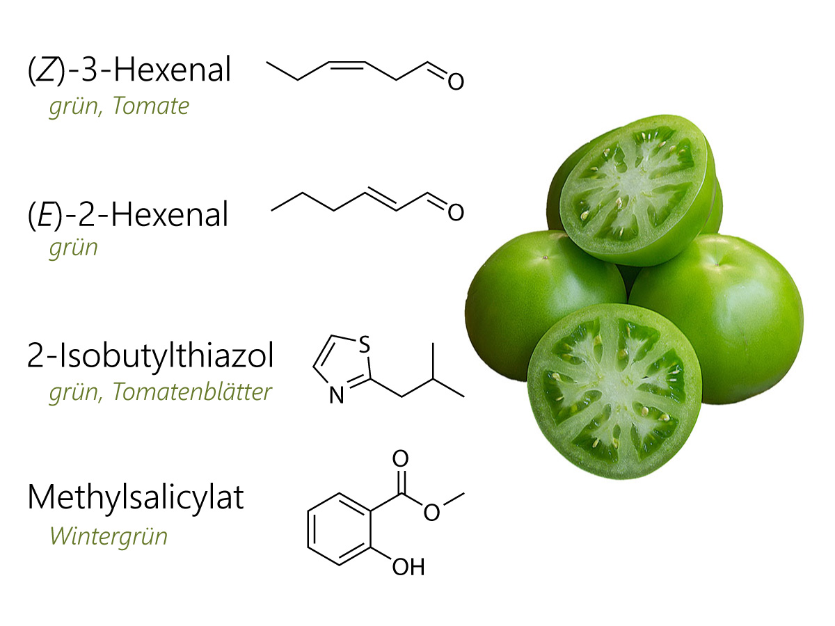 Strukturformeln der wichtigesten Aromenkomponenten von grünen Tomaten – (Z)-3-Hexenal, (E)-2-Hexenal, 2-Isobutylthiazol und Methylsalicylat.