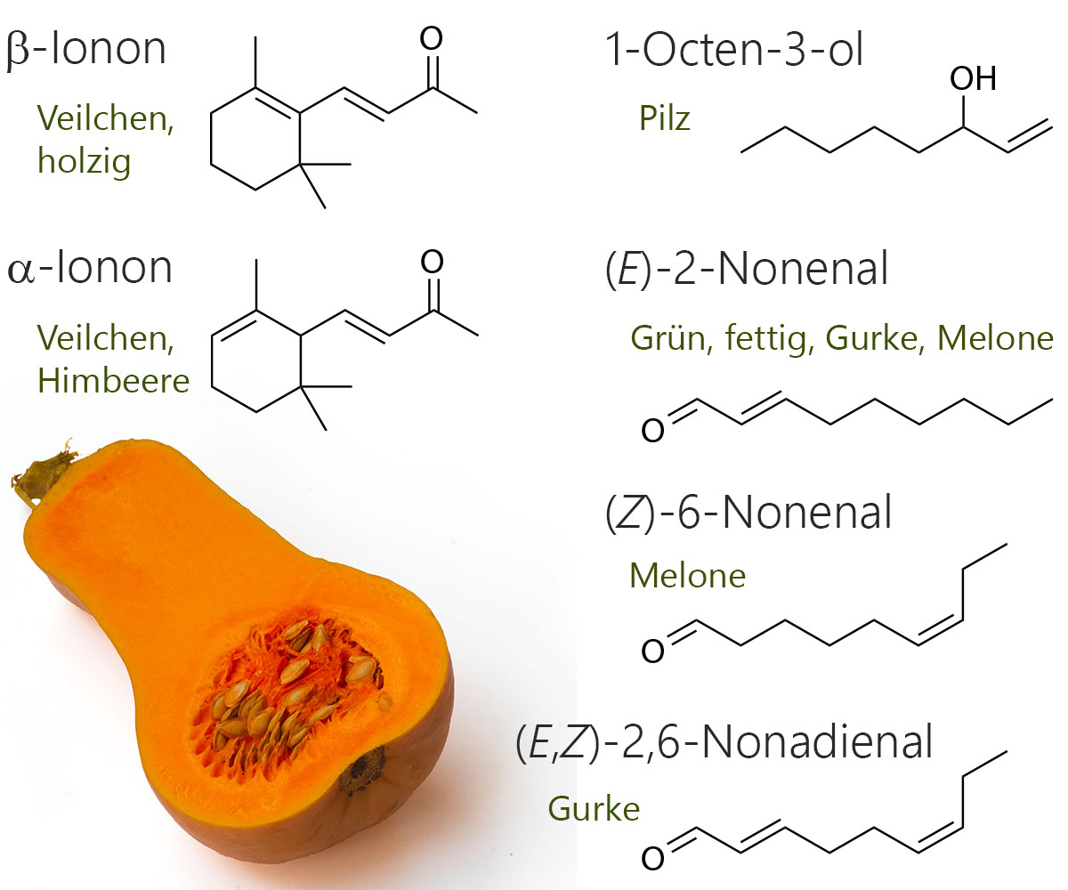 Halber Butternut-Kürbis und Strukturformeln der Schlüsselkomponenten des Aromas von Moschuskürbissen: alpha-Ionon, beta-Ionon, 1-Octen-3-ol, (E)-2-Nonenal,
(Z)-6-Nonenal und (E,Z)-2,6-Nonadienal. 