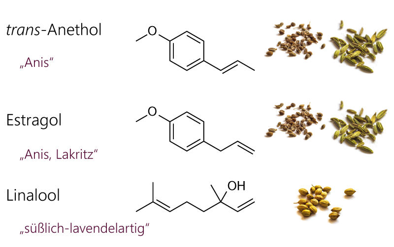 Inhaltstoffe von Lebkuchengewürz. Schlüsselaromen von Anissamen, Fenchelsamen und Koriondersamen. Strukturformeln von trans-Anethol, Estragol (= Methylcavicol) und Linalool.