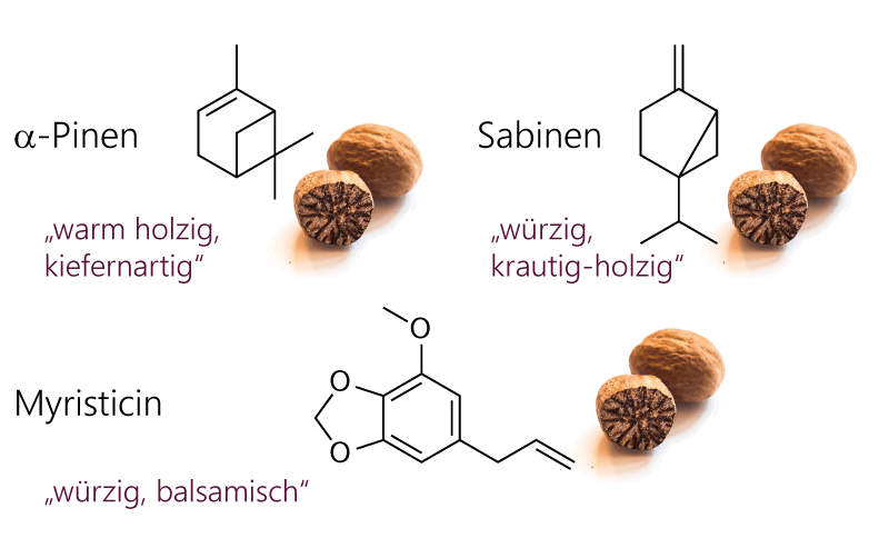 Inhaltstoffe von Lebkuchengewürz. Schlüsselkomponenten im Aroma von Muskatnüssen. Strukturformeln von alpha-Pinen, Sabinen und Myristicin.