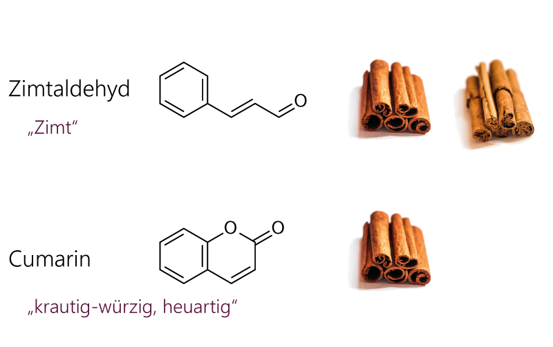 Inhaltstoffe von Lebkuchengewürz. Schlüsselkomponenten im Aroma von Cassia-Zimt und Ceylon-Zimt. Strukturformeln von Zimtaldehyd und Cumarin.
