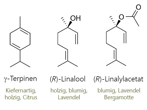 Chemische Zusammensetzung von Bergamottöl (Citrus bergamia) mit Strukturformeln der Hauptkomponenten Limonen, gamma-Terpinen, Linalool und Linalylacetat.