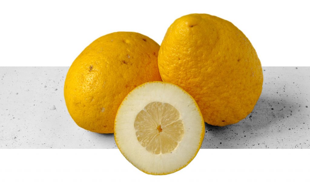 Drei Zitronatzitronen (Citrus medica), auch Cedri, Zedraten oder Zedernäpfel genaant, wobei die vorderste angescmitten ist.