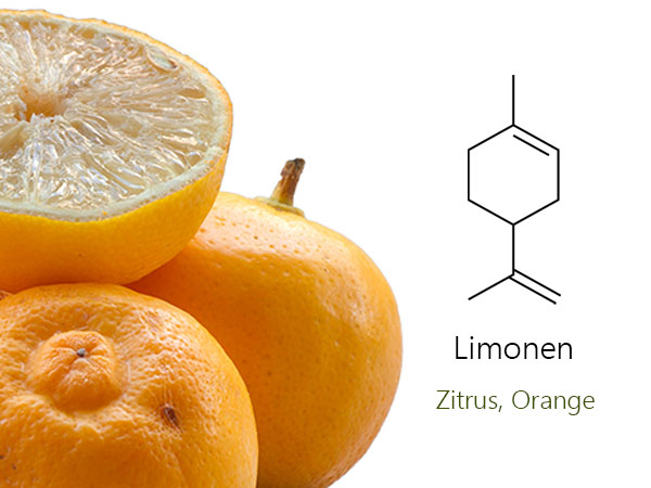 Chemische Zusammensetzung von Bergamottöl (Citrus bergamia) mit Strukturformeln der Hauptkomponenten Limonen, gamma-Terpinen, Linalool und Linalylacetat.