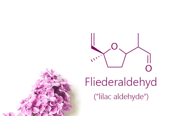Geruchsbestimmende Duftkomponenten des Flieders (Syringa vulgaris) mit der Strukturformel von Fliederaldehyde (lilac aldehyde) [(5-Methyl-5-vinyltetrahydrofuran-2-yl)propanal]