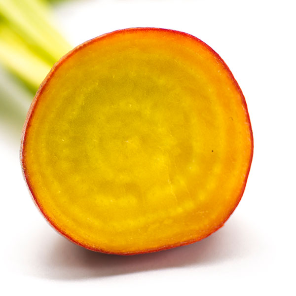 Angeschnittene Gelbe Bete (Beta vulgaris)