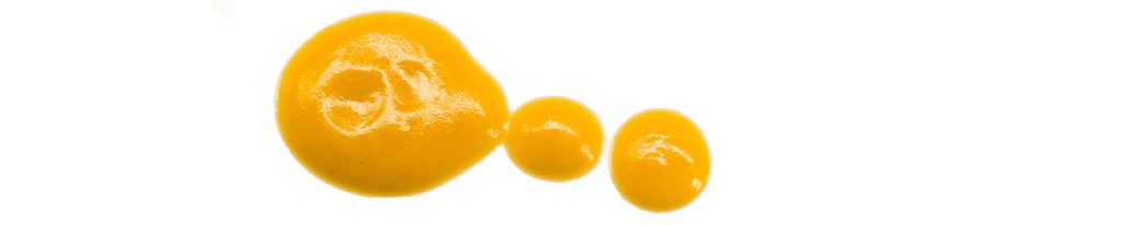 Einige Klekse von einer Sauce aus gelben Kapuzinerkresse (Tropaeolum majus)