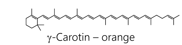 Strukturformel von gamma-Carotin - Carotin - Carotinoide
