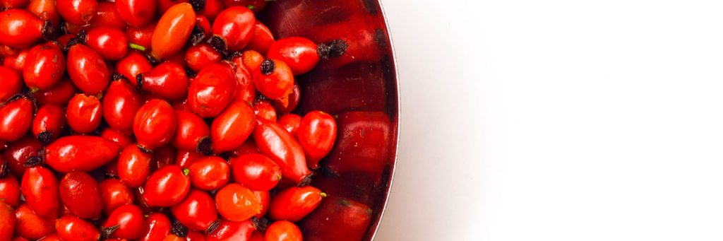 Schüssel mit Hagebutten der Hundsrose (Rosa canina).