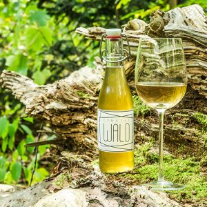 Alkoholfreie Getränkebegleitung - TomaTee »WALD« - Kiefernzapfen-Tee & Tomatenwasser mit Pfifferlingen aromatisiert