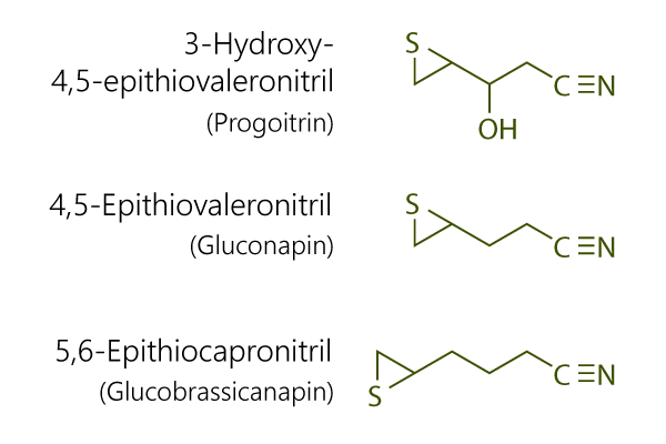 Glucosinolat-Abbauprodukte in Teltower Rübchen (Brassica rapa ssp. rapa f. pygmaea teltoviensis): 3-Hydroxyepithiovaleronitril aus Progoitrin, Epithiovaleronitril aus Gluconapin und Epithiocapronitril aus Glucobrassicanapin).