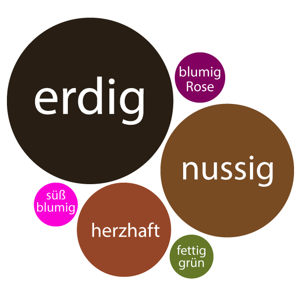 Bildliche Darstellung des Duftes von frischen Morcheln (Morchella) an Hand von Kreisen die die relative Duftstärke der Duftrichtungen "erdig", "nussig", "herzhaft", "blumig, Rose", "süß, blumig" und "fettig, grün" repräsentieren.