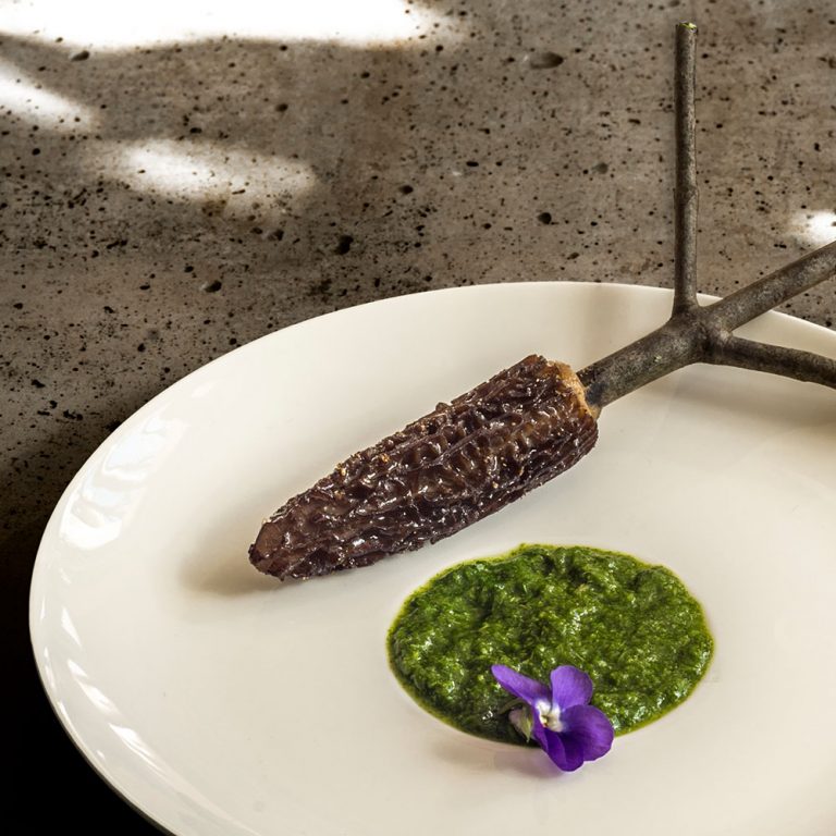 Ein weißer Teller mit einer gefüllten Morchel "Bengali Style" auf einen Ast aufgespießt und einem Klecks Koriander-Minz-Chutney und einer Duftveilchenblüte.