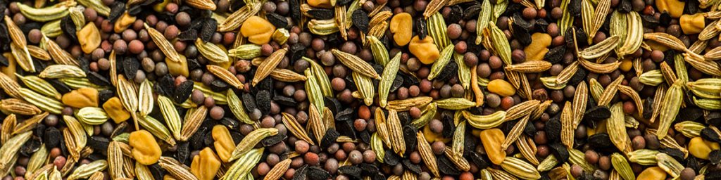 Nahaufnahme der bengalischen Fünf-Gewürz-Mischung Panch Phoron mit den Samen von Kreuzkümmel (Cumin), Fenchel, Senf,
Bockshornklee und Schwarzkümmel – einer Zutat für gefüllte Morcheln »Bengali Style«.