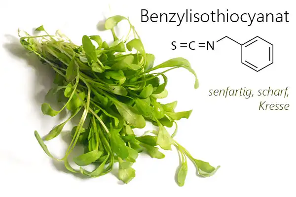 Strukturformel von Benzylisothiocyanat, der Hauptgeschmackskomponente von Garten-Kresse (Lepidium sativum) - eines der sieben Kräuter in der Frankfurter Grüne Soße.