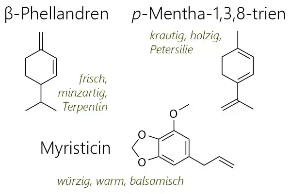 Strukturformeln von beta-Phellandren, p-Mentha-1,3,8-trien und Myristicin, den Hauptkomponenten in Duft von Krauser Petersilie (Petroselium crispum) - eines der sieben Kräuter in der Frankfurter Grüne Soße