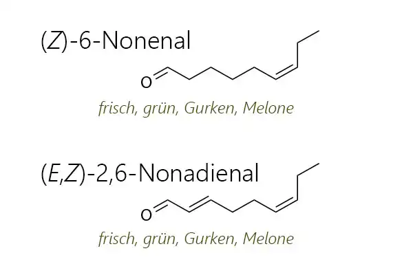 Strukturformeln von (Z)-6-Nonenal und (E,Z)-2,6-Nonadienal, zwei potentiellen Duftstoffen von Pimpinelle oder Kleiner Wiesenknopf (Sanguisorba minor) - eines der sieben Kräuter in der Frankfurter Grüne Soße