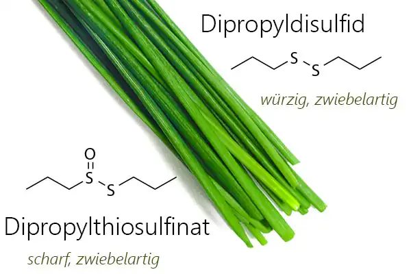 Strukturformeln von Dipropylthiosulfinat und Dipropyldisulfid, den Hauptduftstoffen von Schnittlauch (Allium schoenoprasum) - eines der sieben Kräuter in der Frankfurter Grüne Soße